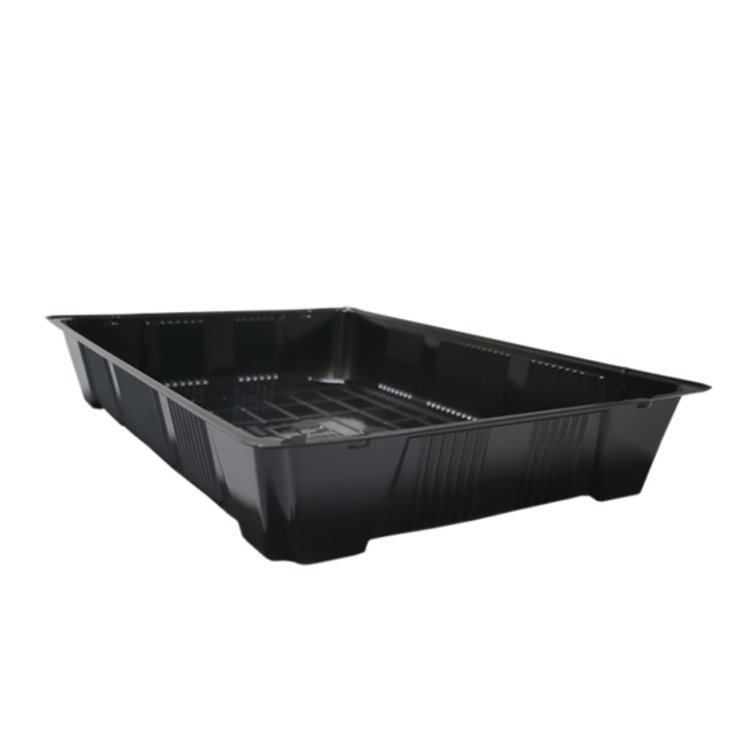 Fondo Sushi Grande Alto - 100 unidades - EKO-EMPAQUES18