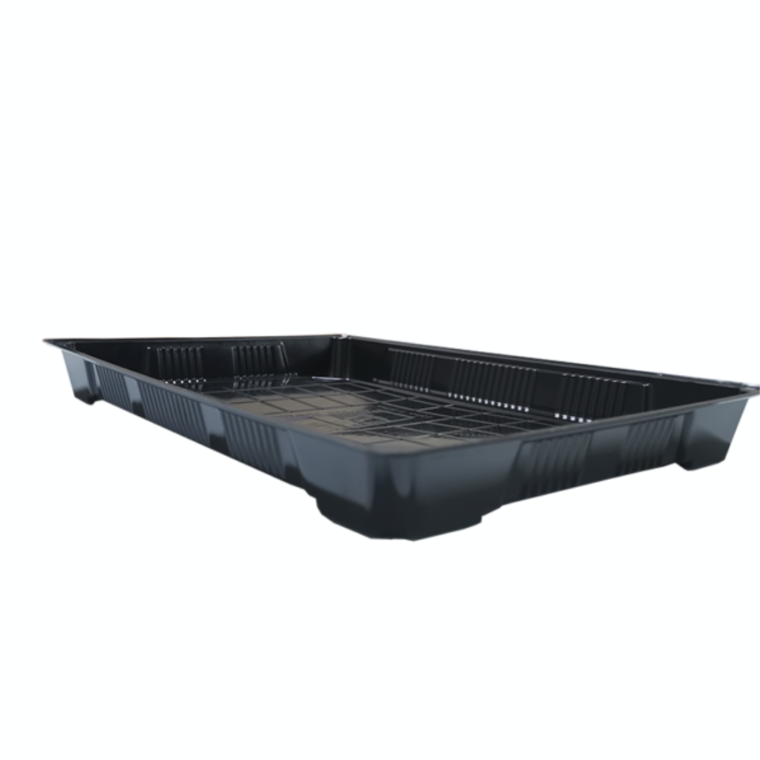 Fondo Sushi Grande Bajo - 100 unidades - EKO-EMPAQUES18