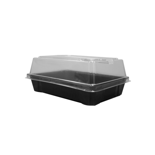 Delipack Sushi con Tapa 100 Unidades